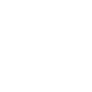 Movimento Zen